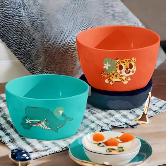 Coloured Ceramic Bowl 2pc Set